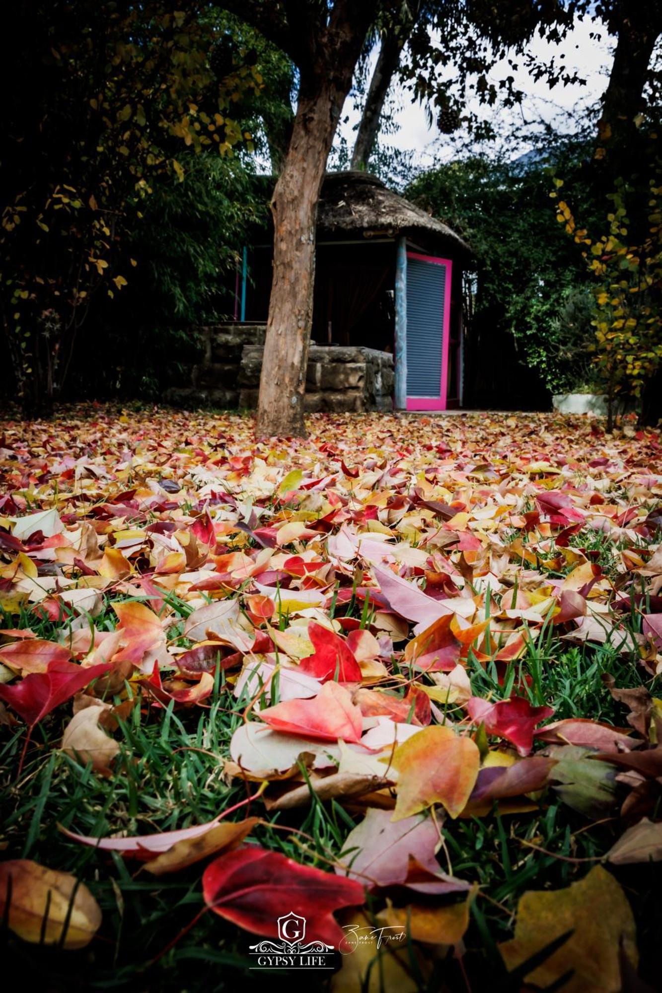 Gypsy Guest House Clarens Εξωτερικό φωτογραφία
